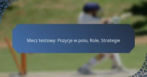 Mecz testowy: Pozycje w polu, Role, Strategie