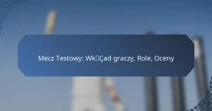 Mecz Testowy: Wkład graczy, Role, Oceny