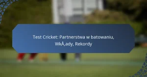 Test Cricket: Partnerstwa w batowaniu, Wkłady, Rekordy
