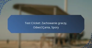 Test Cricket: Zachowanie graczy, Odwołania, Spory
