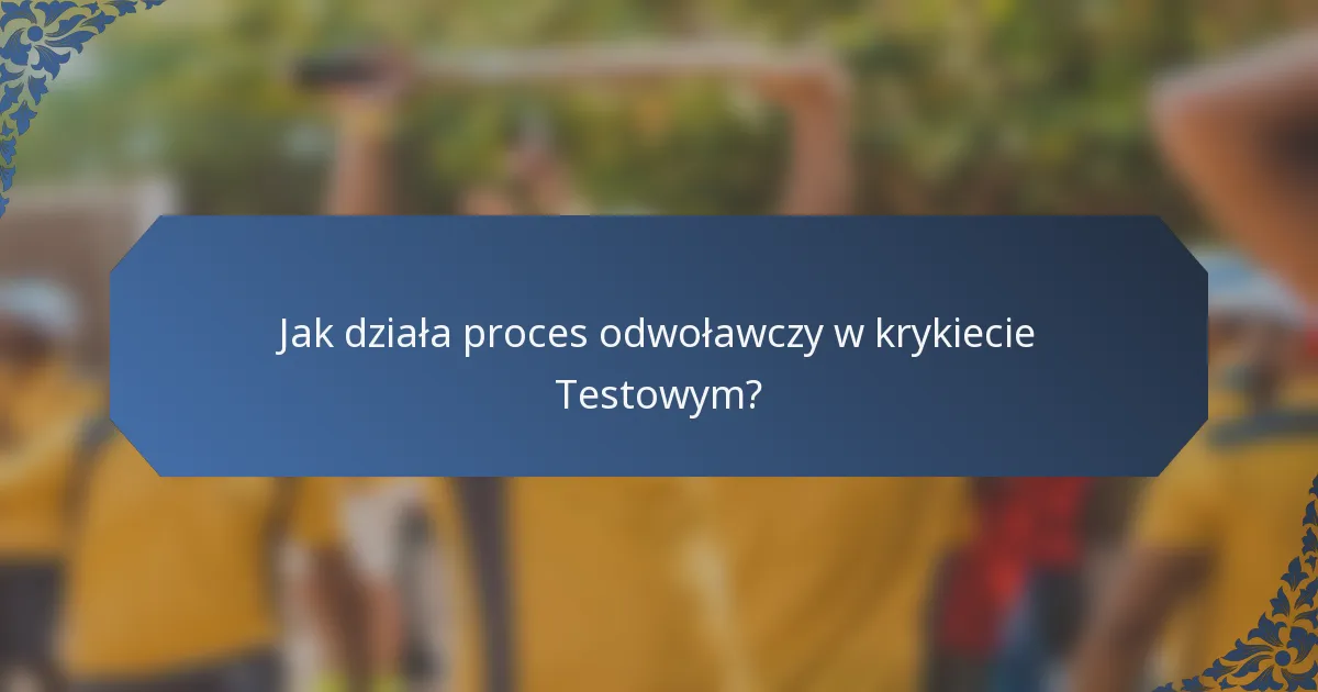 Jak działa proces odwoławczy w krykiecie Testowym?